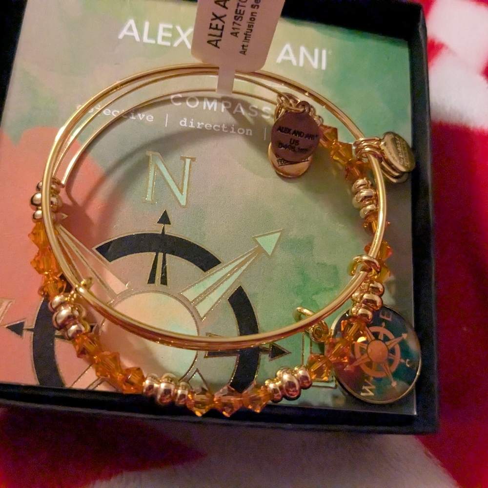 Alex and Ani Compass